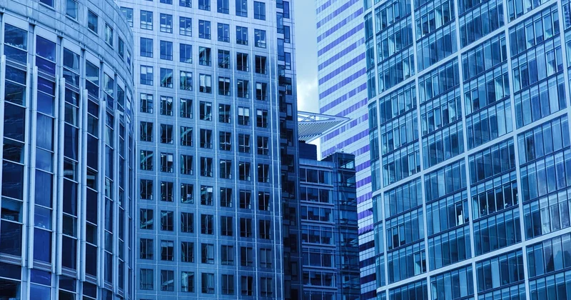 Traitement blattes immeuble : le cas qui rend fou