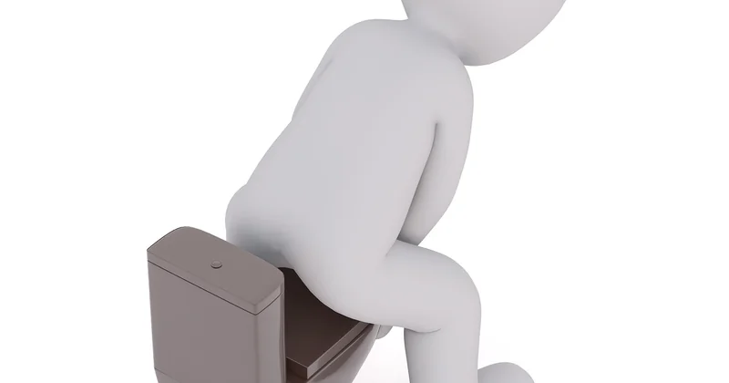Identifier les vers avant de traiter : tous ne se ressemblent pas
