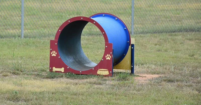 Acheter un chien détecteur, vraiment&nbsp;?