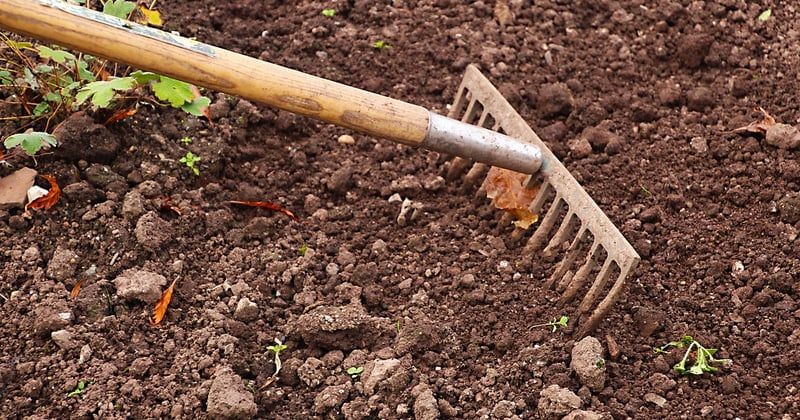 Roundup Ultra Plus : le désherbant qui vient à bout des mauvaises herbes