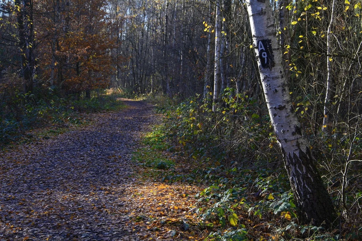 Votre terrain est prêt : étapes finales et vérifications