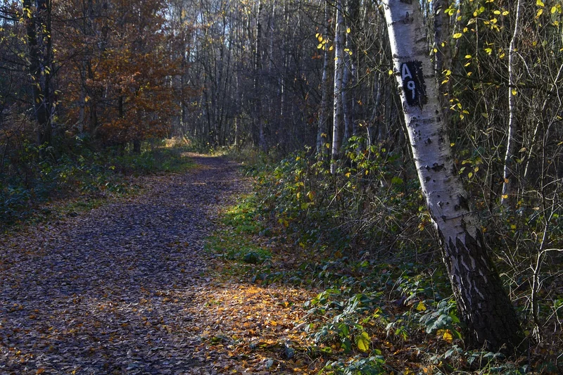 Votre terrain est prêt : étapes finales et vérifications