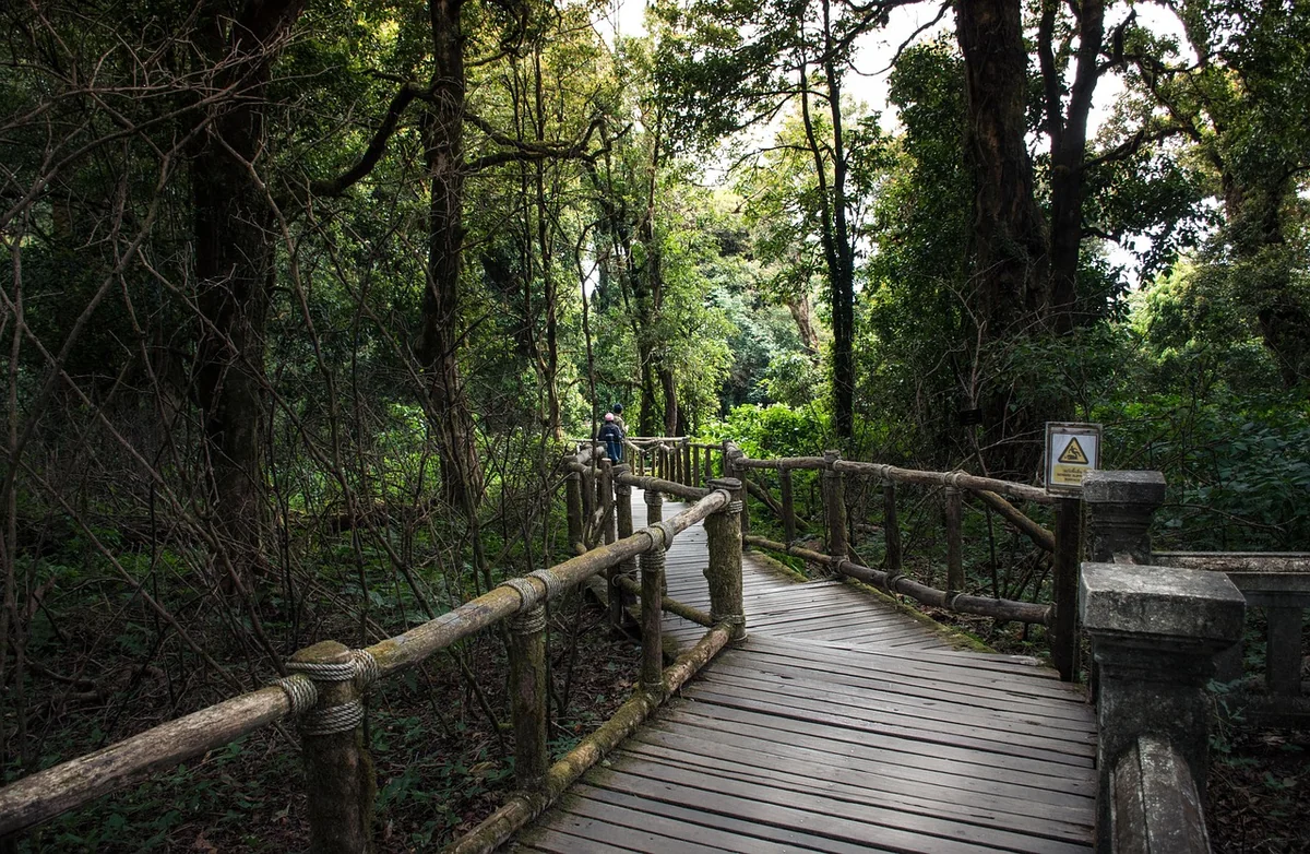 Le second œuvre : habiller et équiper votre logement