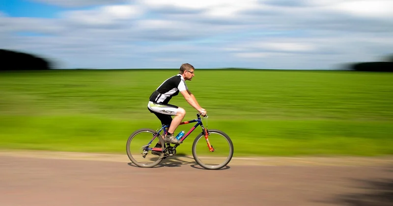 Le cycle de vie des blattes : comprendre pour mieux traiter